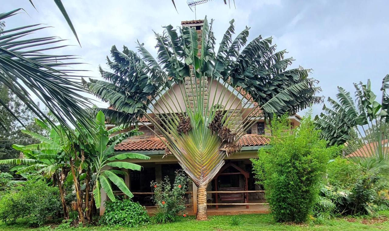 Edaala Comfort - B&B Nairobi Exteriér fotografie
