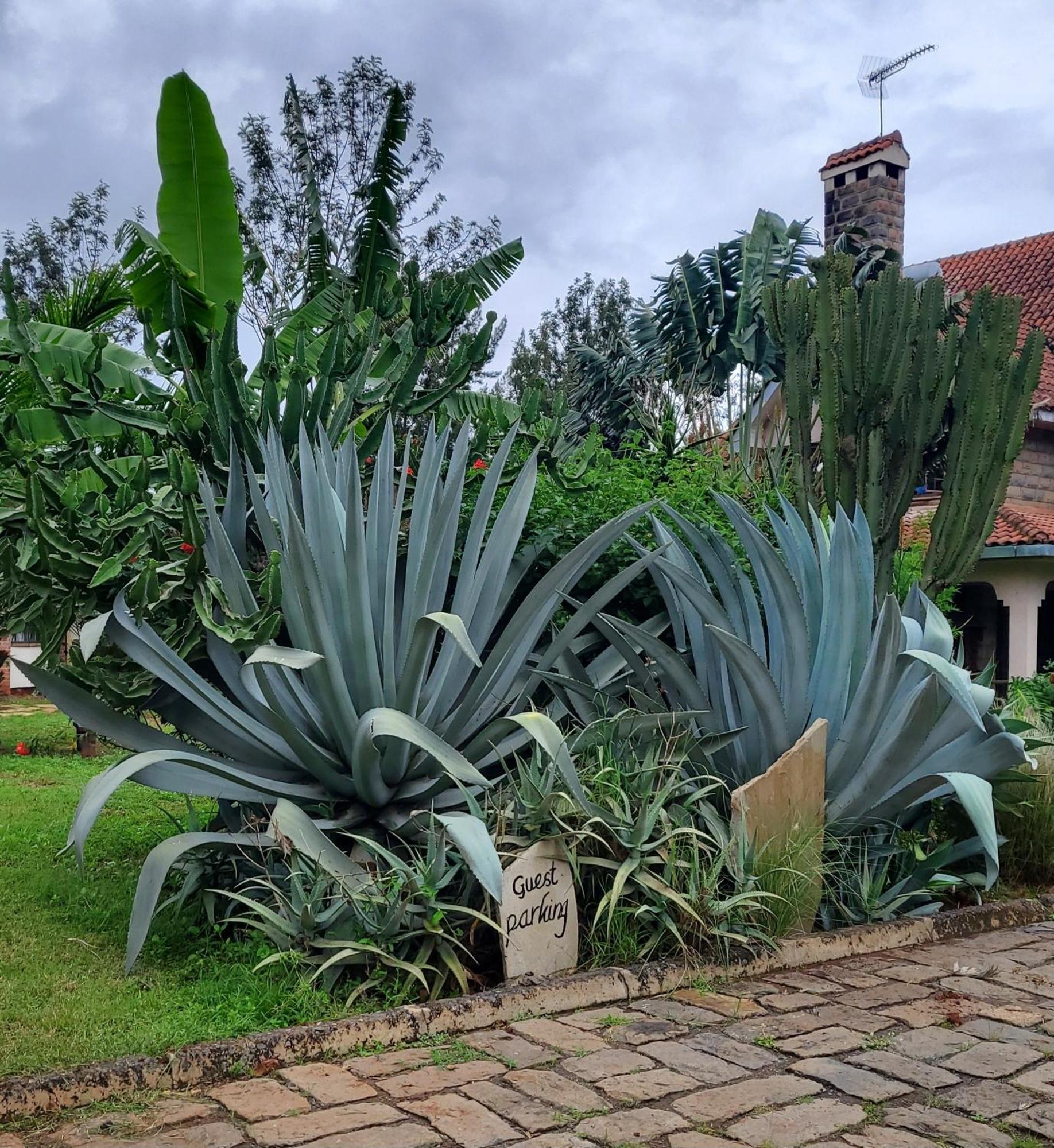 Edaala Comfort - B&B Nairobi Exteriér fotografie