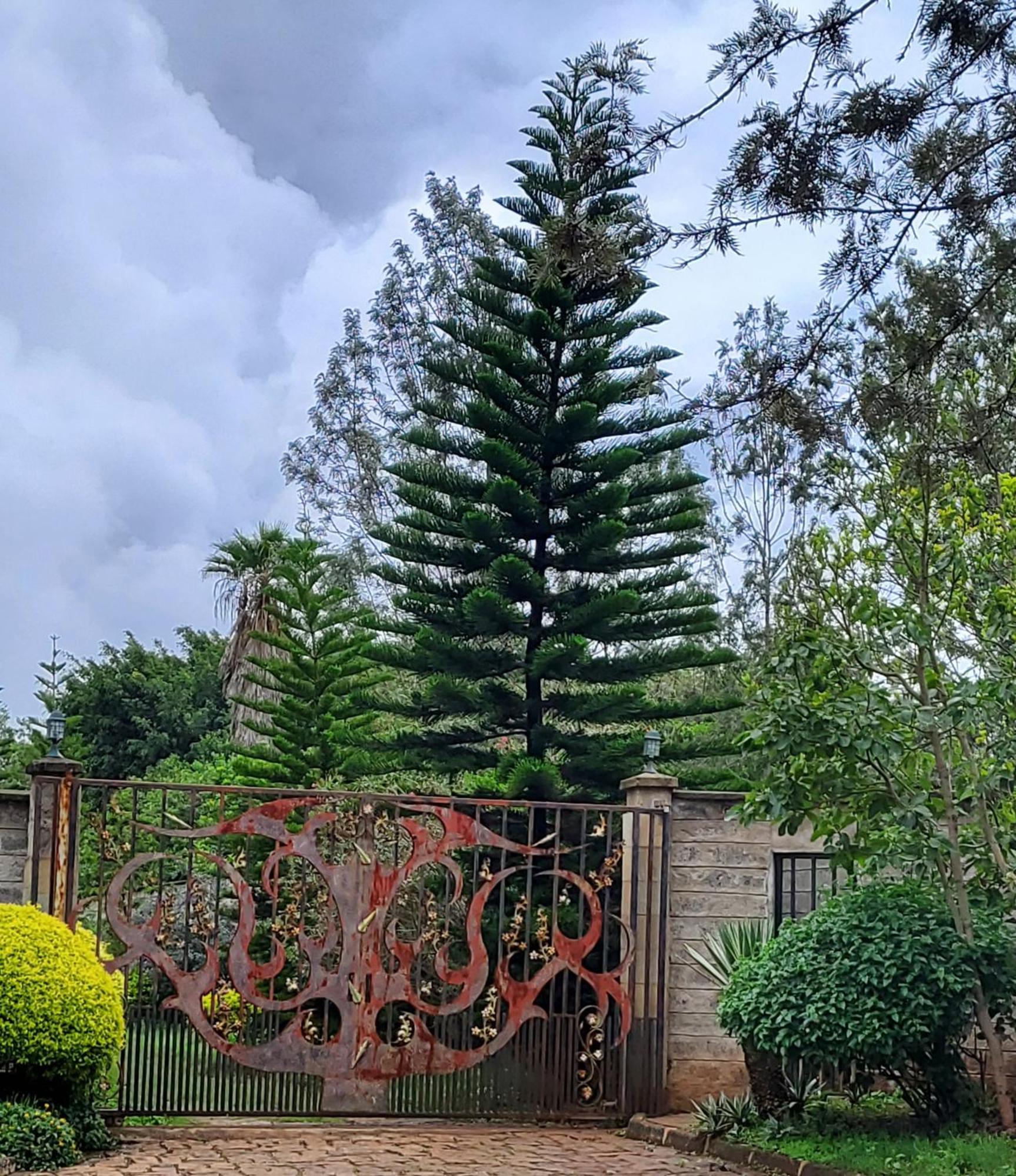 Edaala Comfort - B&B Nairobi Exteriér fotografie