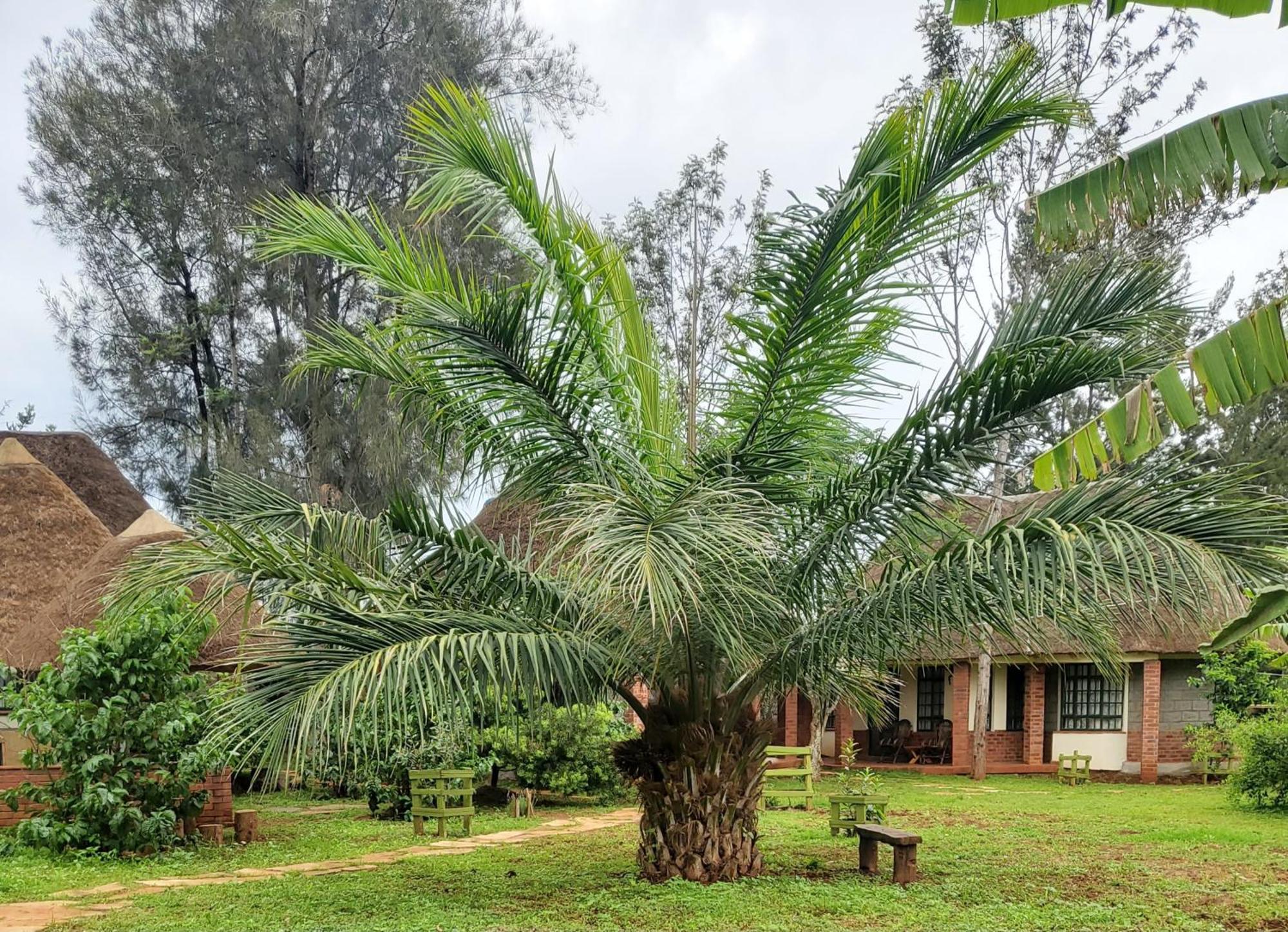Edaala Comfort - B&B Nairobi Exteriér fotografie