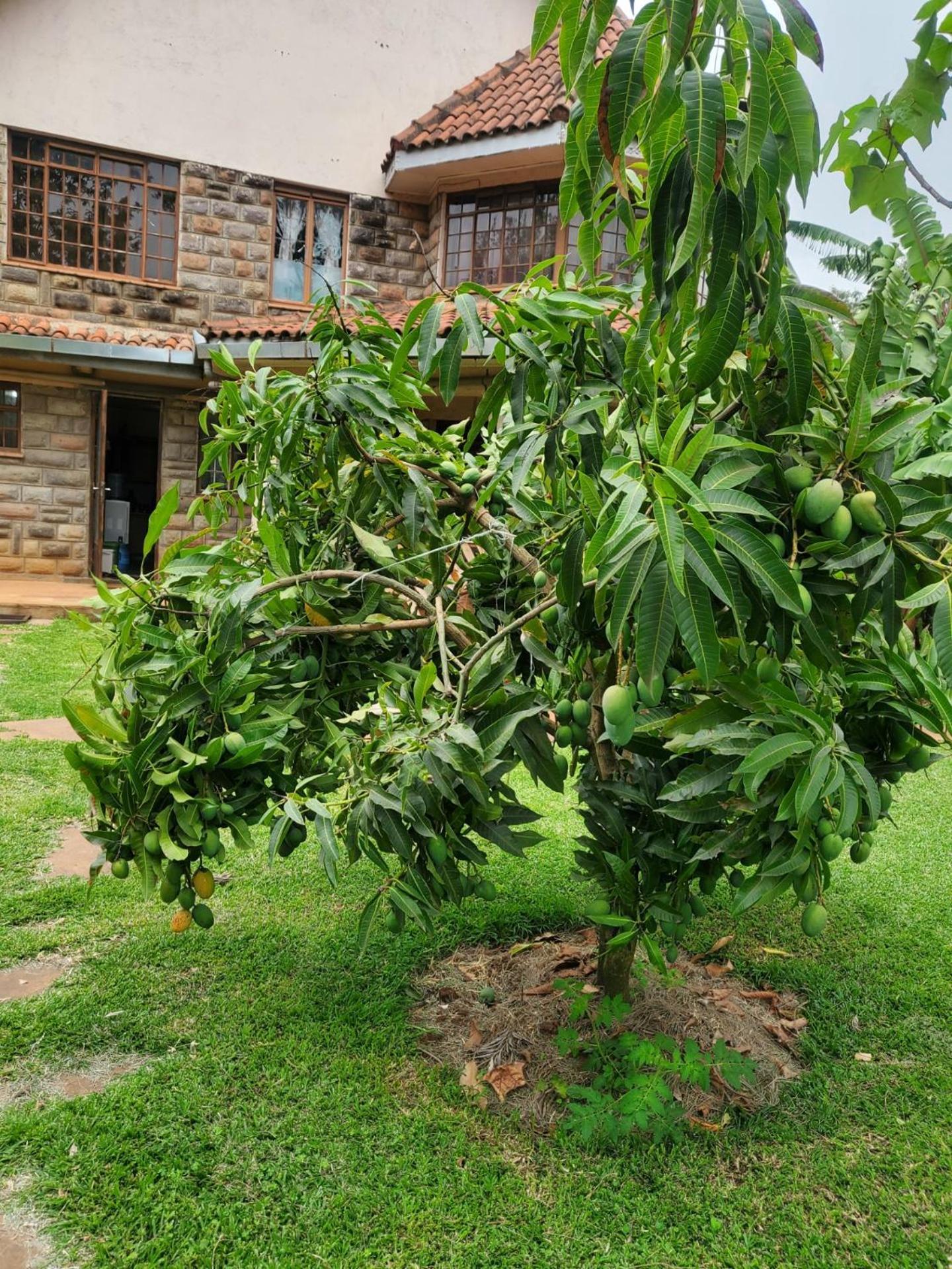 Edaala Comfort - B&B Nairobi Exteriér fotografie